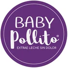 Baby Pollito